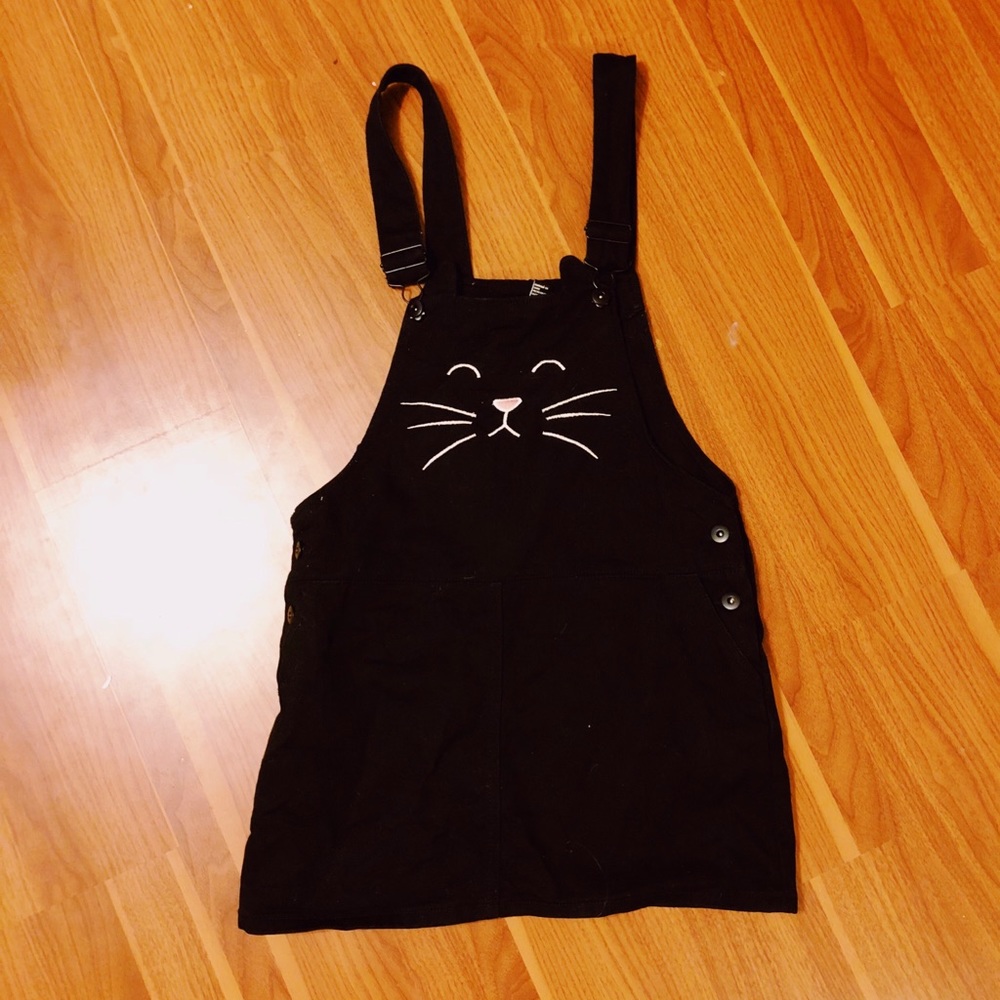 A cat jumper